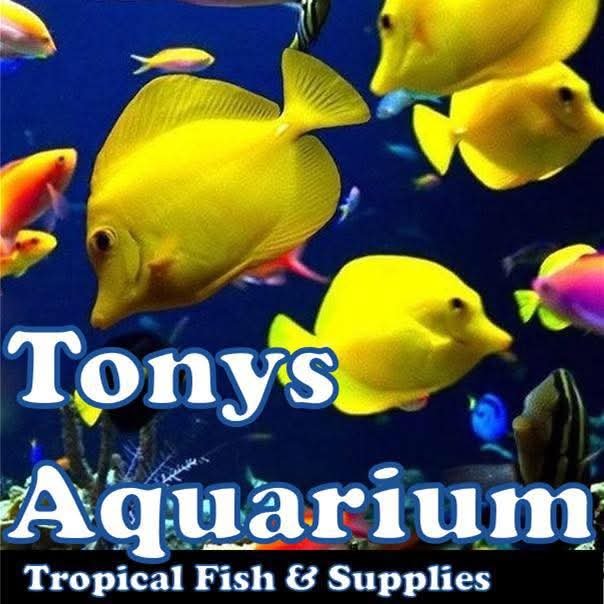 Tony's Aquarium Facebook Page