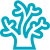 coral-reef.png